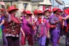 Thornbury Red Hat Society