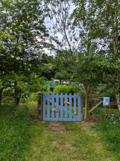 Filnore Allotments