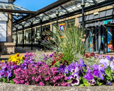 Thornbury in Bloom