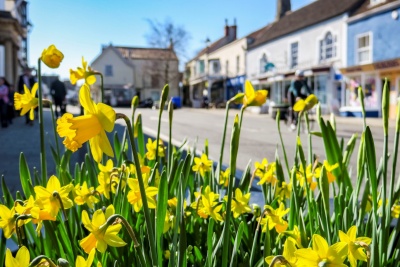 Thornbury in Bloom
