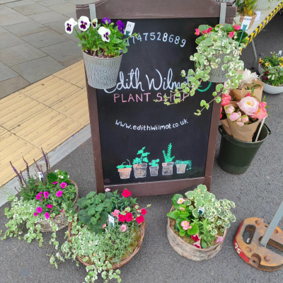 Edith Wilmot Summer Planter competition
