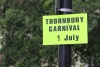 Thornbury Carnival 2017